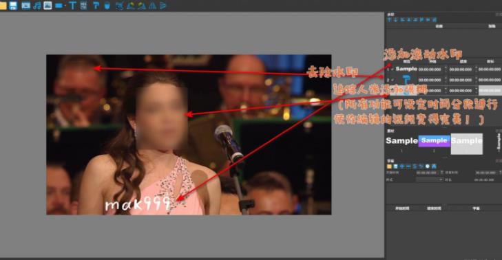 DikDik X64视图批量同步去除-添加水印-追踪人像添加马赛克