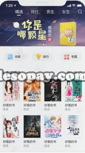 20230918 70 摇钱树CMS免费开源小说APP系统 带后端